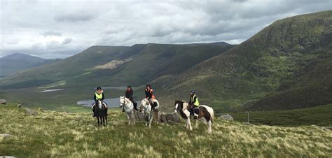 Horse riding treks on the Dingle Peninsula, Kerry, Ireland | Beach horseback riding, Riding ...