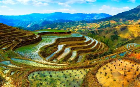 Banaue Rice Terraces Indonesia Wallpapers Hd 1920x1200