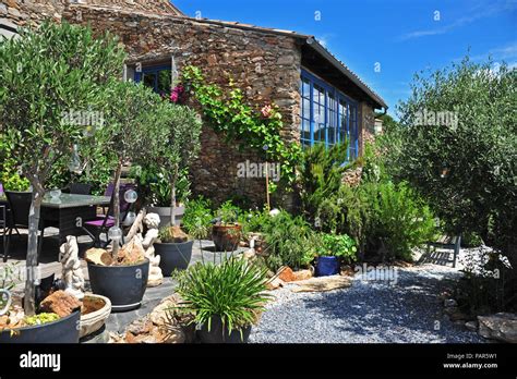 Wonderful Courtyard Garden Of A French House In The South Of France