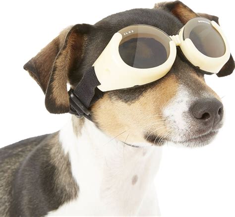 Doggles Ils Dog Goggles Gray Large Dog Goggles Goggles