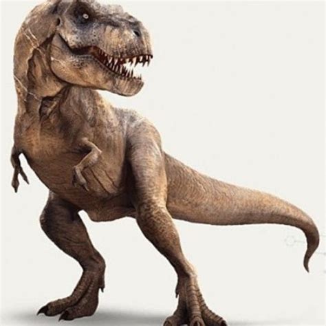 Tyrannosaurus is a genus of coelurosaurian theropod dinosaur. FOTOS: Así se verá el Tiranosaurio Rex en "Jurassic World ...