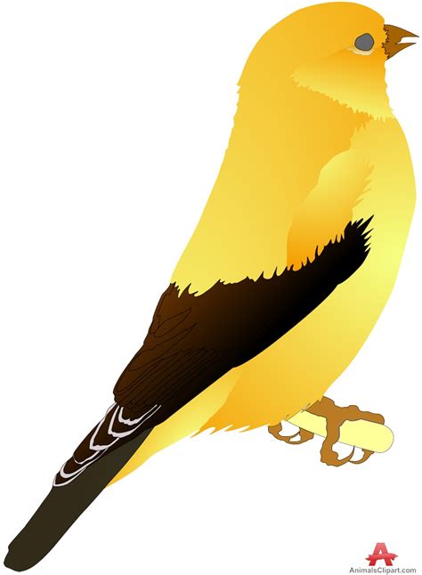 Canary Yellow Bird Clipart Free Clipart Design Download Bird Clipart