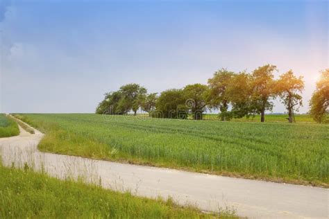 The Road In Rural Areas In Germany Bavaria With Brightly Green Fields