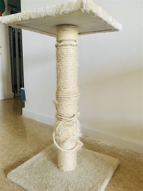 How To Make A Homemade Cat Scratcher Diy Tire Cat Scratcher Petdiys