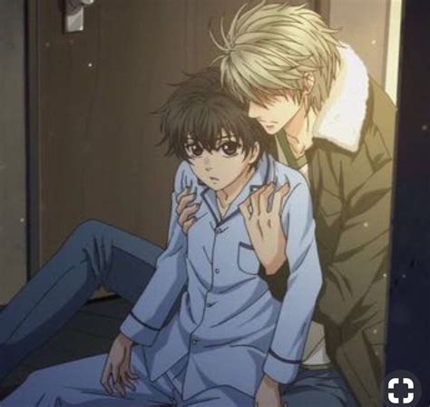 Pin by Alina Didenko? on Super lovers | Super lovers anime, Super lovers, Super lovers haru x ren