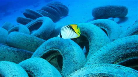 Car Tyres A ‘stealthy Source‘ Of Ocean Pollution Motoring Research