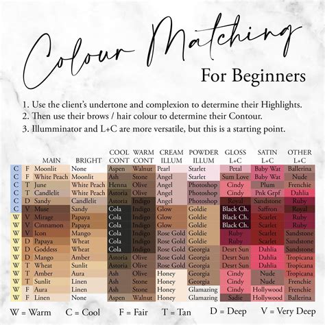 Seint Artist Color Match Training Guide Artofit