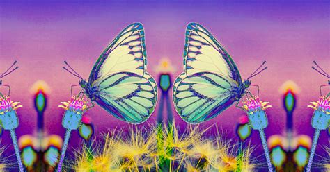 Cdt today, thursday, march 19. A Note on the Vernal Equinox - March 2020 ~ Chani Nicholas