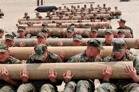 Fotos Gratis Gente Soldado Ejército Ejercicio Aptitud Determinación Troncos Soldados