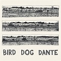 John Parish - Bird Dog Dante - Recensioni - SENTIREASCOLTARE