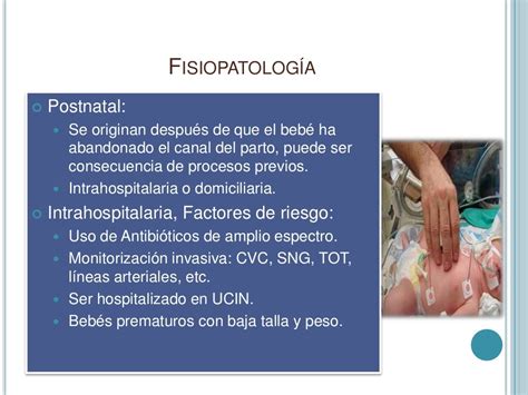 Neumonia Neonatal Neonatologia Enfermedades Respiratorias Del Rn