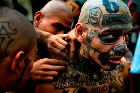 Ms 13 Who They Are Why They Are Animals And The Moral And Logical