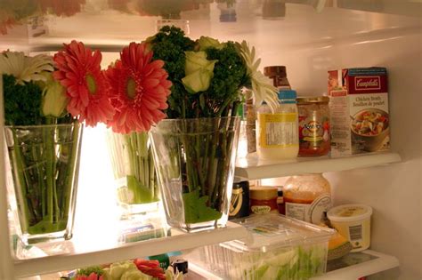 Fridge flowers are fresh flowers. Fridge full of fall flowers | Whole Map