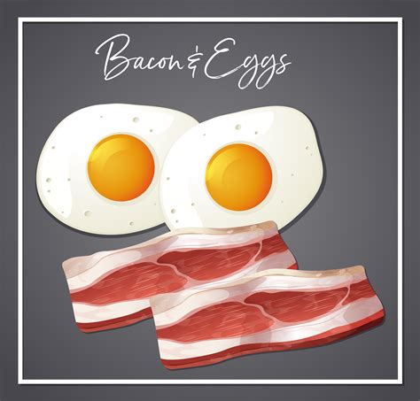 Bacon And Eggs Free Vector Art 237 Free Downloads