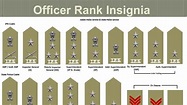 Indian Police Service Officer Rank Insignia