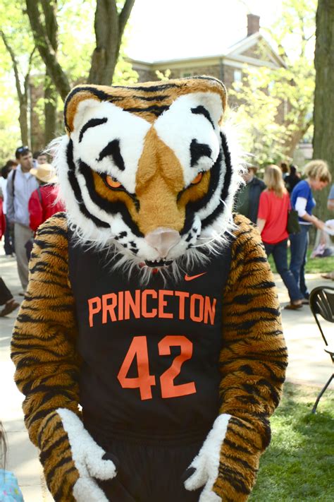 Pin on College Mascots: Ivy League