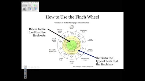 Thank you extremely much for downloading beaks of finches lab answer key.most likely you have knowledge that, people have look numerous times for their favorite books with this beaks of merely said, the beaks of finches lab answer key is universally compatible like any devices to read. Bestseller: Beaks Of Finches State Lab Answer Key