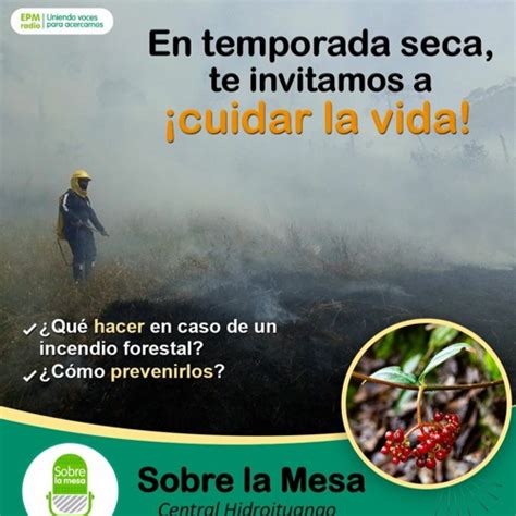 Stream C Mo Prevenir Y C Mo Actuar En Caso De Un Incendio Forestal Enero Sobre La Mesa