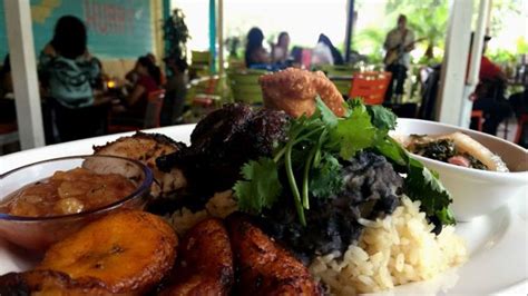 bahama breeze s reggae fest promises special food drink music at restaurants orlando sentinel