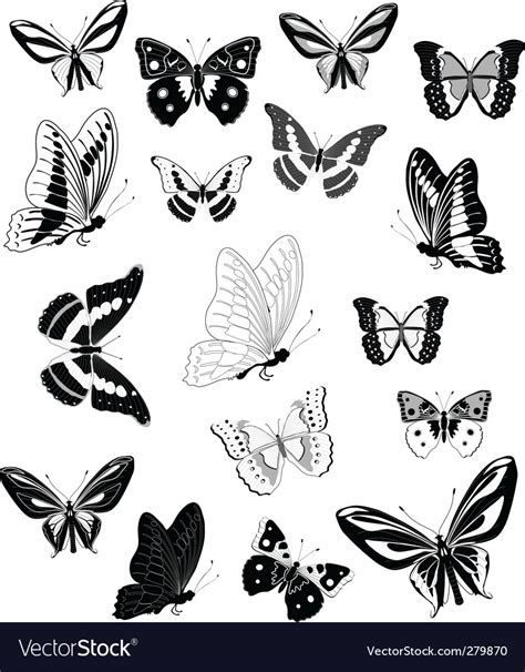 Butterfly Royalty Free Vector Image Vectorstock