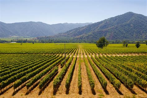 Chiles Central Valley Explore Wineries And Valparaiso Travel Just 4u