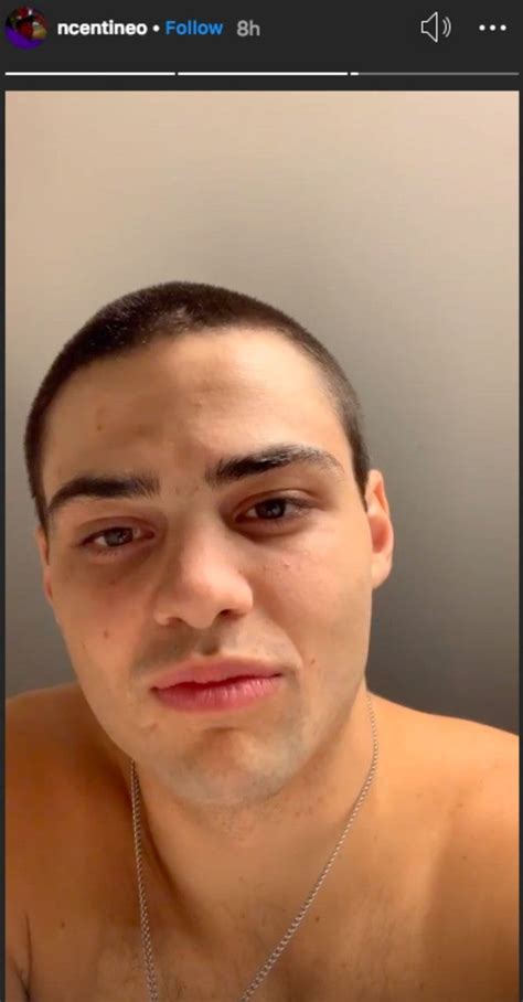 Il est connu pour son rôle de jesus adams foster dans la série télévisée américaine the fosters et pour ses interprétations dans les comédies romantiques à tous les garçons que j'ai aimés, sierra burgess is a loser et the perfect date Noah Centineo Just Shaved Off All His Hair, Try to Remain ...