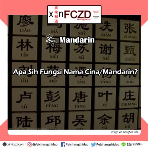 Apa Sih Fungsi Nama Cinamandarin Feichangzhidao Belajar Digital