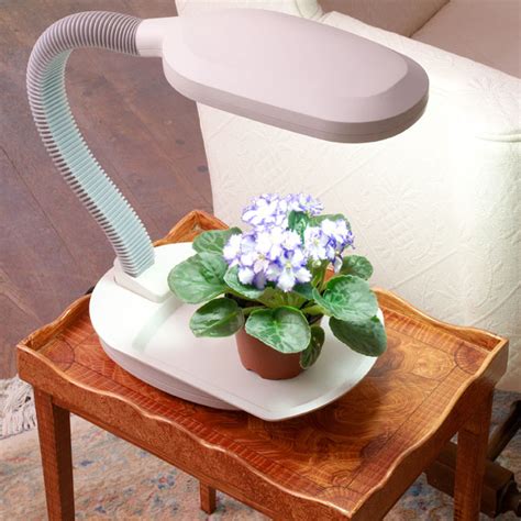 We did not find results for: Good Light for a Simple Herb Setup? • HelpfulGardener.com ...