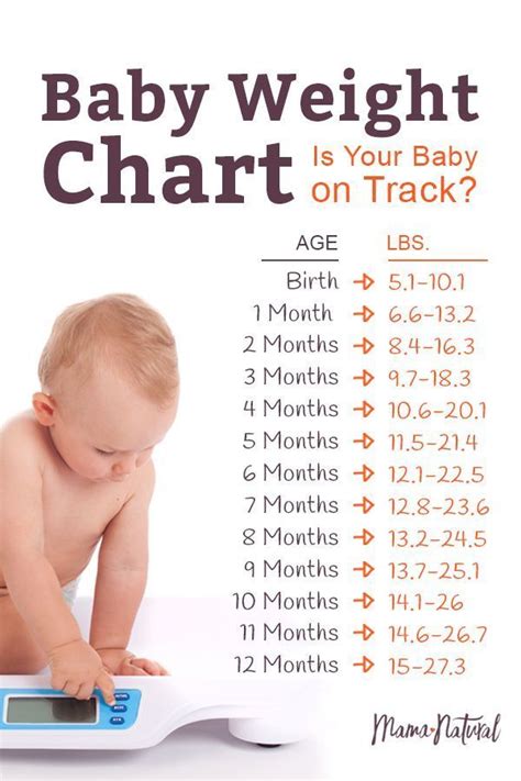 Baby Weight Chart Is Your Baby On Track Weight Charts Baby Weight