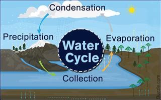 Artline 10b this video is about: A Simple Guide to the Steps of the Water Cycle