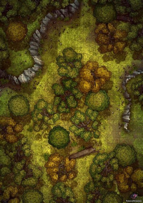 Forest Wilderness 24x34 Battlemaps In 2020 Fantasy Map Forest Map