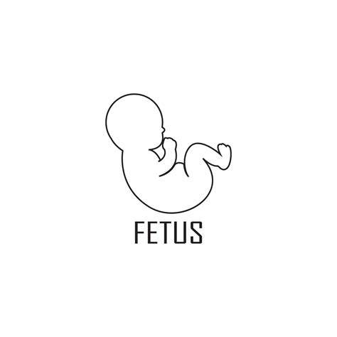 Fetus Logo Vector Illustration Design Template 10411707 Vector Art At