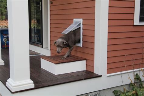 I needed to install two doggie doors, one from the house to the garage and the other from the garage outside. 9 best dog door ideas images on Pinterest | Pet door, Door ...