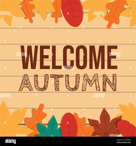 Welcome Autumn Vector Backgroundautumn Season Maple And Oak Leaves