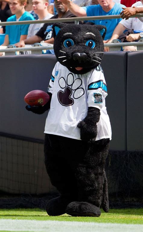 The Carolina Panthers Mascot Is Absolutely Purrfect Carolina Panthers