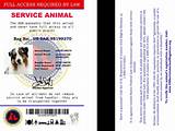 Service Animal Registry Number Images