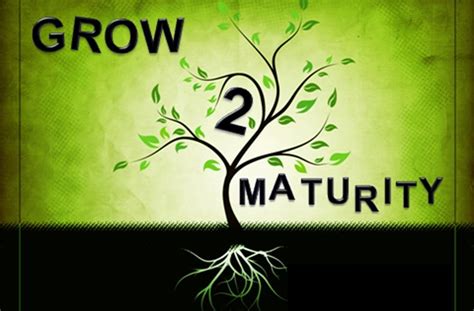 The state of being mature, ready or ripe. My Thoughts: Growing Into Maturity - Olamide Egbayelo