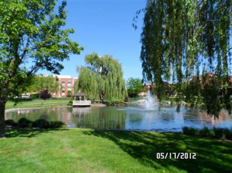 Pin on Theocratic Interests