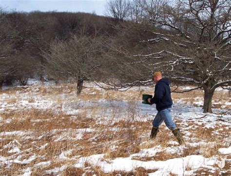 Kip Adams Frost Seeding Clover In A Food Plot National Deer Association
