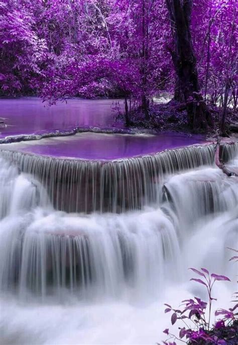 A Waterfall In The Middle Of A Forest Filled With Pink Trees And Water