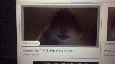 Join Hamster Cult And Subscribe Youtube