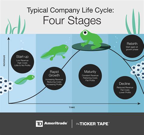 Business Life Cycle What Are The 4 Key Stages