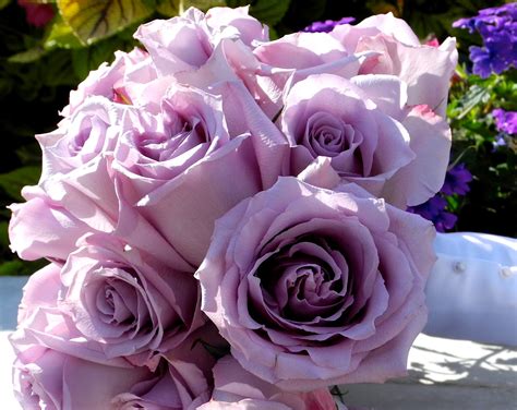 The Flower Girl Blog Lavender Roses