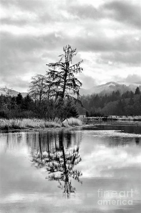 Reflections In Black And White Photograph By Jack Andreasen Fine Art