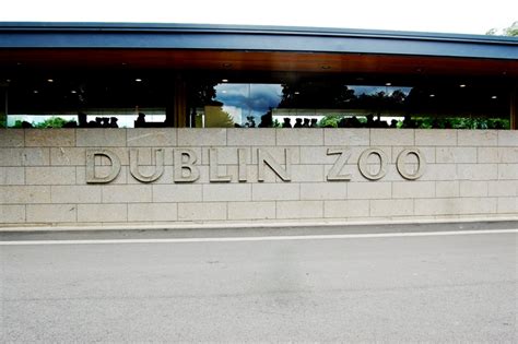 Dublin Zoo And More Incredible Attractions In Dublin Transbuddha