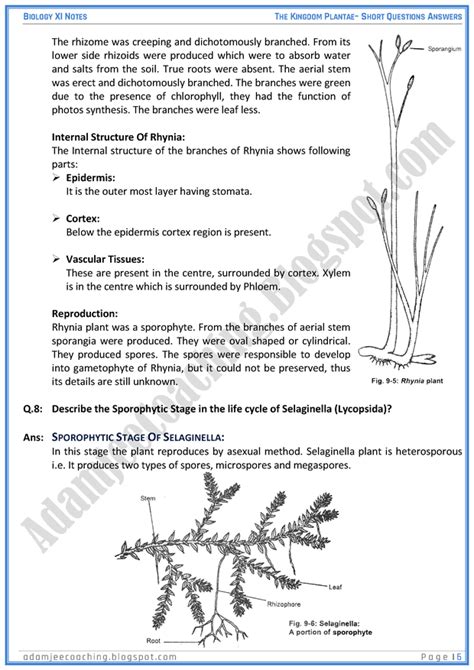 Adamjee Coaching Kingdom Plantae Short Question Answers Biology 11th