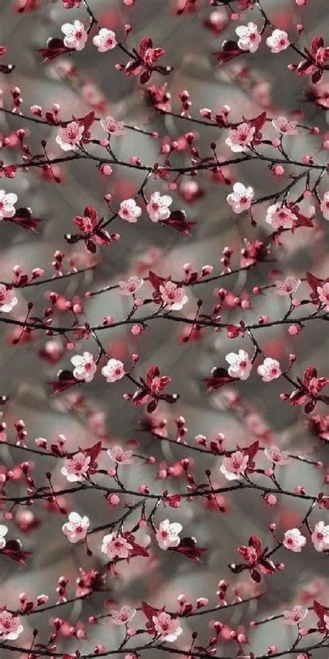 14 Beautiful Flower Iphone Wallpapers Wallpapersafari