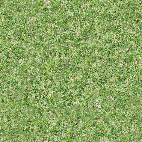 Grass Photo Tile