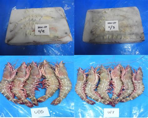 Head On Sea Tiger Shrimps Prawns At Best Price In Chennai By KVM
