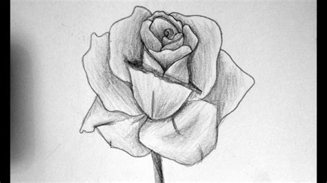 Come Disegnare Una Rosa 100 Immagini A Cui Ispirarsi
